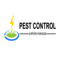 Pest Control Surfers Paradise