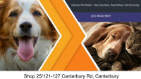 Olympic Pet Studio - Dog Grooming, Dog Styling, Cat Grooming