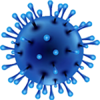 Ivermectin 12 Mg