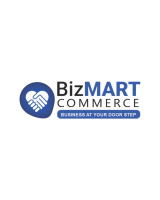 Empowering Online Businesses with Smart E-commerce Solutions and Reliable Support