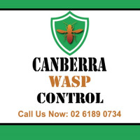 Canberra Wasp Control