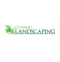 Cosmic Landscaping