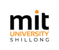 Best Colleges for MBA in Human Resource Management | MIT University