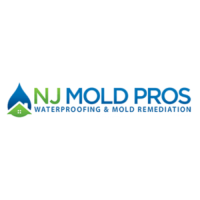 NJ Mold Pros