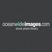 Oceanwide Images