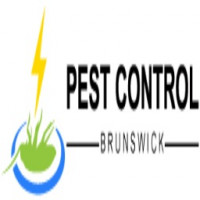 Pest Control Brunswick