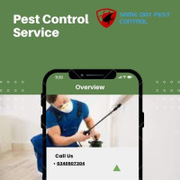 Carpet Cleaning Auburn | carpetcleaning