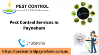 Pest Control Payneham