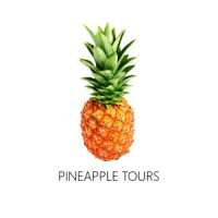 Pineapple Tours