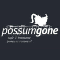 Possum Gone