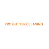 Pro Gutter Cleaning