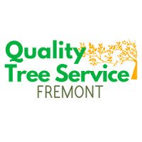 Quality Tree Service Fremont