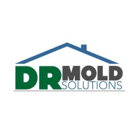 DR Mold Solutions