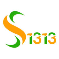 SEO Company in Chandigarh