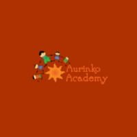 Aurinko Academy