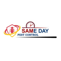 Same Day Pest Control Fortitude Valley- Fast, Reliable Pest Solutions in Queensland