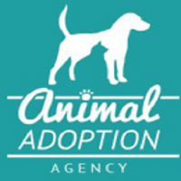 Animal Adoption Agency