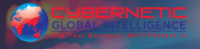 SOC1 & SOC2 Type 1/Type 2 Consulting and Certification Services – Cybernetic Global Intelligence