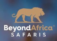 Family-Friendly Kruger National Park Safaris for All Ages