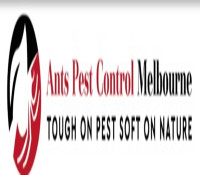 Ant Pest Control Melbourne
