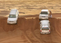 Morning Desert Safari