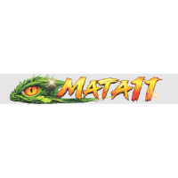 Mata11