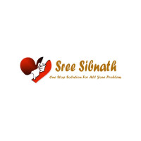 Best Astrologer in Chicago – Trusted Guidance by Sree Sibnath