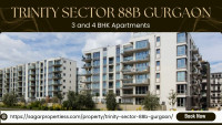 Trinity Sector 88B Gurgaon | Residential Flats For Luxury Living