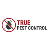 True Pest Control: Professional Pest Control Services in Australia