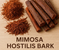 Mimosa Hostilis Bark: From Natural Remedies to Artisanal Dyes