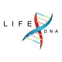 Genetic Methylation Tests Australia | DNA Test Australia