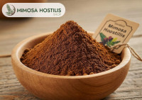Ethically Produced, Mindfully Harvested, Responsibly Sold: Premium Mimosa Hostilis Root Bark & Powder