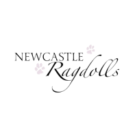 Newcastle Ragdolls 