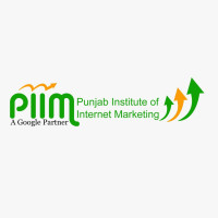 PIIM Website Designing Course in Patiala for Beginners and Professionals