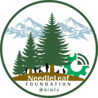AI-Powered Early Warning Systems for Environmental & Student Safety – Needleleaf Foundation