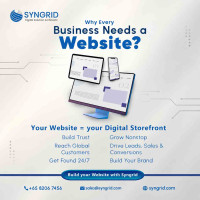 ???? Professional Business Website Development by Syngrid