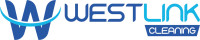 Professional Window Cleaning Services