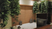 Buy Wooden Blinds Dubai | Fast Installation & Free Delivery