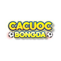 Top 10 Trang Cá Cược Bóng Đá Uy Tín Châu Á 2026