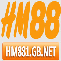 hm881gbnet