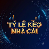 Hướng Dẫn Xem Tỷ Lệ Kèo Nhà Cái Chi Tiết Cho Người Mới