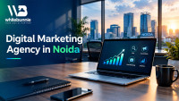 Top Digital Marketing Agency in Noida