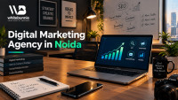 Digital Marketing Services in Noida | White Bunnie