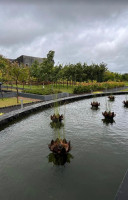 Three Days of Calm: Why I’d Go Back to Viveda Wellness, Nashik
