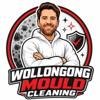 Wollongong Mould Cleaning