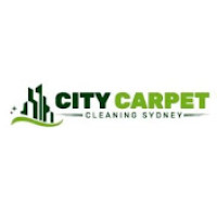City Couch Cleaning Blacktown