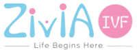 Best IVF Center Mundhwa, Pune