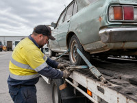 Paladin Car Removals