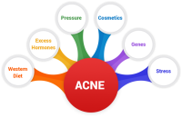 The Center for Integrative Dermatology