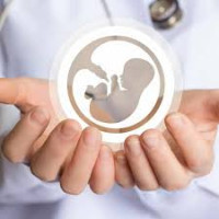 Adonis Fertility International: World-Class Medical Care You Can Trust